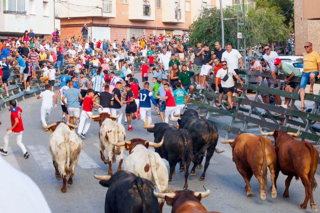 El tercer encierro de Calasparra, el más rápido y limpio hasta ahora