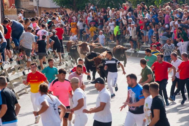 Los imponentes novillos de Pedrés corren un encierro limpio y abarrotado de público